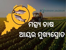 ICAR ରିପୋର୍ଟ: ଚାଷୀଙ୍କ ଆୟରେ 125-272% ବୃଦ୍ଧି ICAR ରିପୋର୍ଟ: ଚାଷୀଙ୍କ ଆୟରେ 125-272% ବୃଦ୍ଧି
