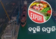 Agricultural Exports: 14% ବଢିଲା କୃଷି ଉତ୍ପାଦ ରପ୍ତାନି Agricultural Exports: 14% ବଢିଲା କୃଷି ଉତ୍ପାଦ ରପ୍ତାନି