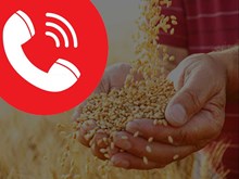 ରାସନ ଦେବାକୁ ମନାକରୁଛନ୍ତି କି ଡିଲର ? ଲଗାନ୍ତୁ ଏହି ନମ୍ବର...