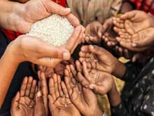 ଖାଦ୍ୟ ସୁରକ୍ଷାକୁ ନେଇ ଉଠାଯିବ ବଡ ପଦକ୍ଷେପ, ହାତ ମିଳାଇବେ ସମସ୍ତ ଦେଶ ଖାଦ୍ୟ ସୁରକ୍ଷାକୁ ନେଇ ଉଠାଯିବ ବଡ ପଦକ୍ଷେପ, ହାତ ମିଳାଇବେ ସମସ୍ତ ଦେଶ