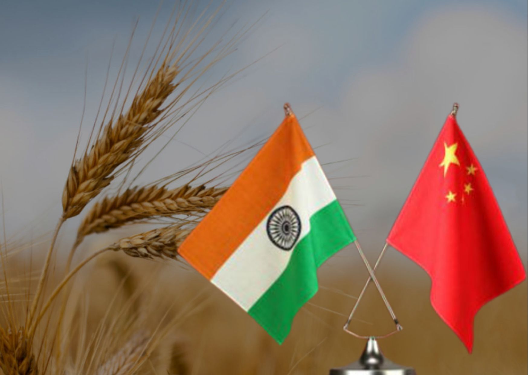 China Backs India's Wheat Export Ban at WTO