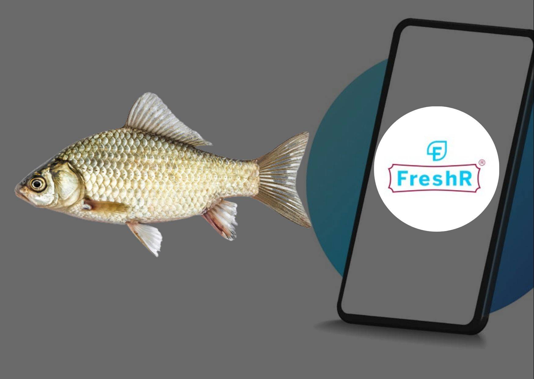 Odisha-based start-up FreshR comes up with India’s first app in fishery sector for bulk purchases