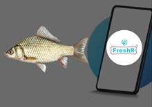 ଘରକୁ ଅର୍ଡର କରିବାକୁ ଚାହୁଞ୍ଚନ୍ତି କି ତାଜା ମାଛ ? FreshR ଦେଉଛି ଏହି ସୁବିଧା