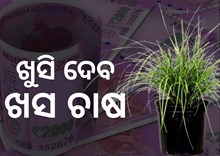 ଟଙ୍କା ଛାପିବାର ଖାସ ଉପାୟ ଖସ ଚାଷ, ଜାଣନ୍ତୁ ଏହାକୁ କରିବାର ପ୍ରଣାଳୀ... ଟଙ୍କା ଛାପିବାର ଖାସ ଉପାୟ ଖସ ଚାଷ, ଜାଣନ୍ତୁ ଏହାକୁ କରିବାର ପ୍ରଣାଳୀ...