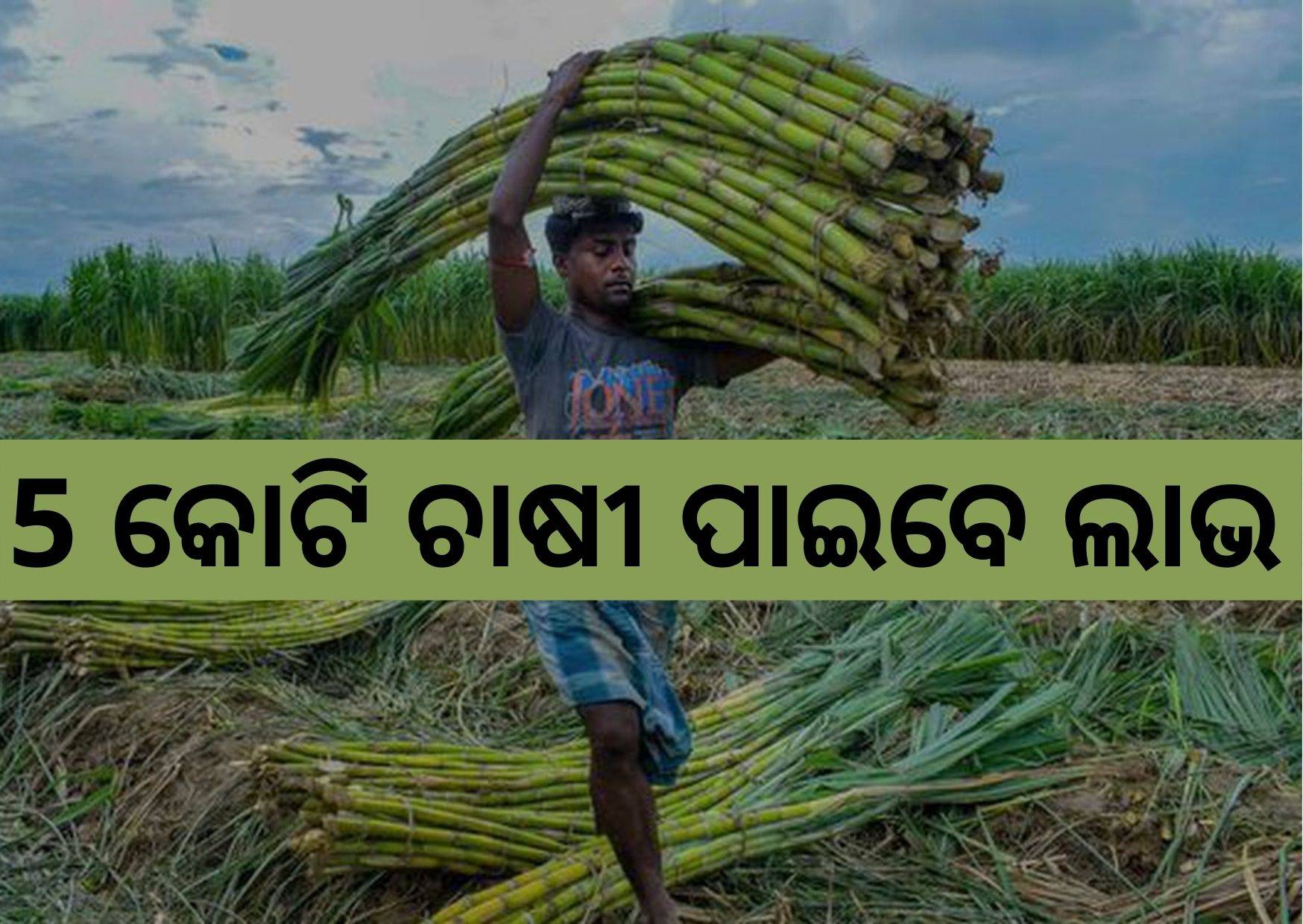 Government approves Fair and Remunerative Price of sugarcane