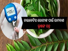 ଏହି 5ଟି ବଡ ରୋଗରୁ ମୁକ୍ତି ଦିଏ ଭୃସଙ୍ଗ ପତ୍ର