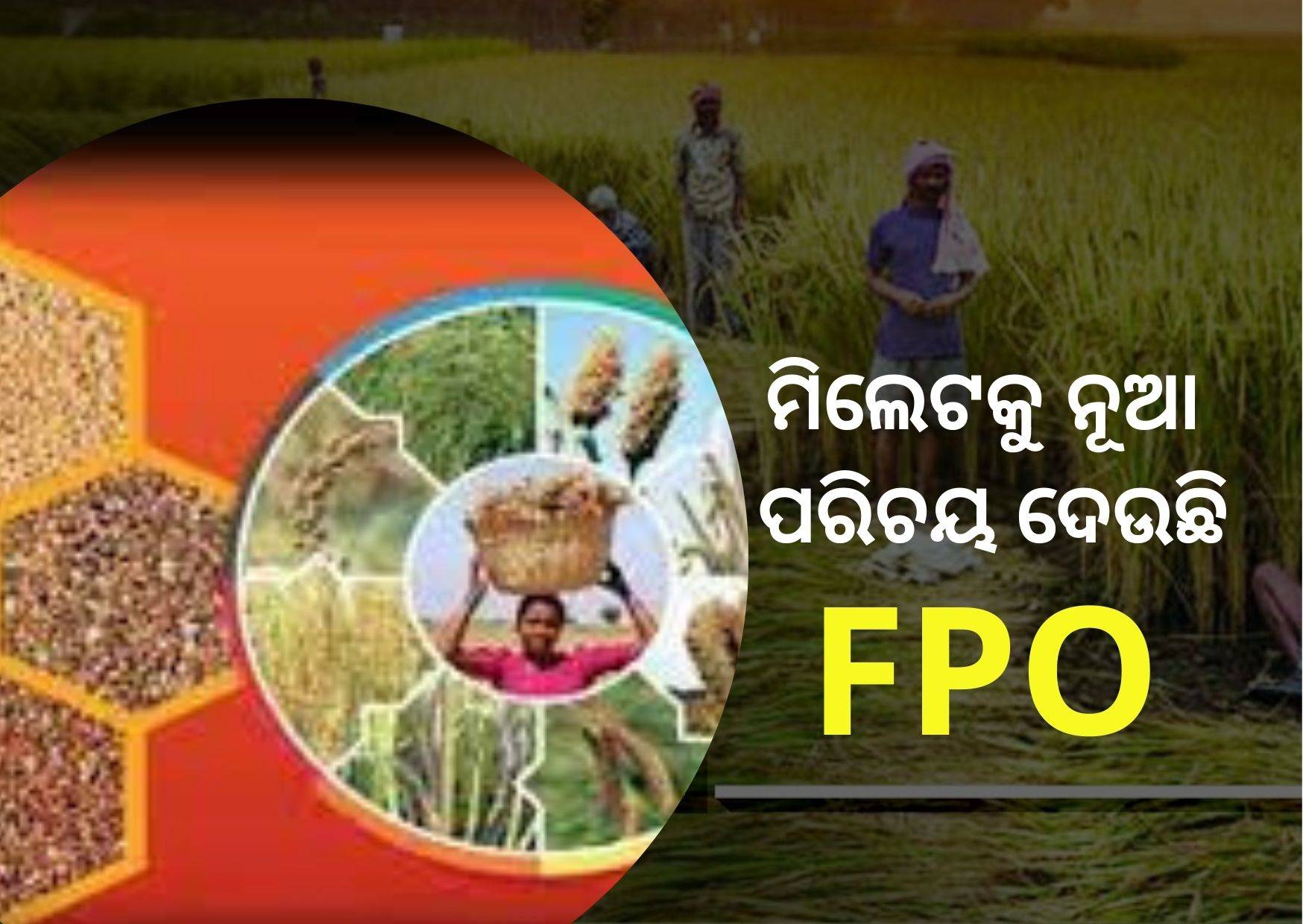 Karnataka based FPO resulted in a long-term change in the lifestyle of the farmers