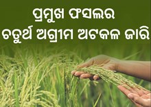 ଦେଶରେ ରେକର୍ଡ ୩୧୫.୭୨ ମିଲିୟନ୍ ଟନ୍ ଖାଦ୍ୟଶସ୍ୟ ଉତ୍ପାଦନର ଅଟକଳ ଦେଶରେ ରେକର୍ଡ ୩୧୫.୭୨ ମିଲିୟନ୍ ଟନ୍ ଖାଦ୍ୟଶସ୍ୟ ଉତ୍ପାଦନର ଅଟକଳ