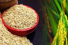 ଚାଷୀଙ୍କ ପାଇଁ ଧାନ କ୍ରୟ ପଞ୍ଜିକରଣ ସମୟସୀମା ବୃଦ୍ଧିକଲେ ରାଜ୍ୟ ସରକାର ଚାଷୀଙ୍କ ପାଇଁ ଧାନ କ୍ରୟ ପଞ୍ଜିକରଣ ସମୟସୀମା ବୃଦ୍ଧିକଲେ ରାଜ୍ୟ ସରକାର