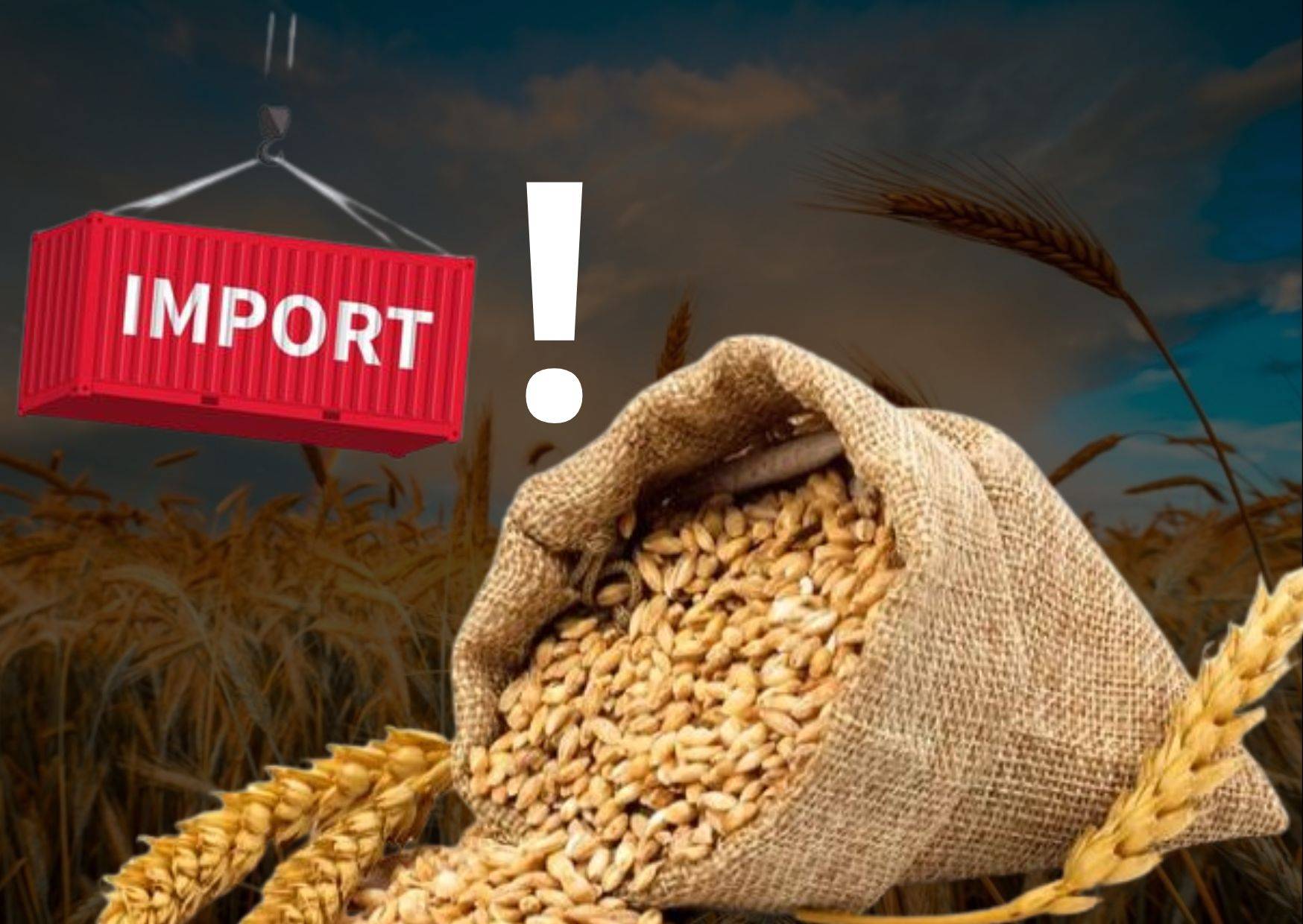 India may import wheat