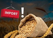 ବିଶ୍ବକୁ ଖାଦ୍ୟ ଯୋଗାଉଥିବା ଭାରତ କରିବ ଗହମ ଆମଦାନୀ !