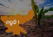 ଏହି ରାଜ୍ୟରେ ଭୟଙ୍କର ମରୁଡି ! 33%ରୁ କମ ଜମିରେ ହୋଇଛି ଚାଷ 