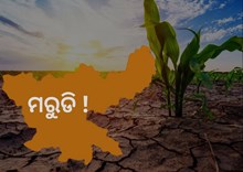 ଏହି ରାଜ୍ୟରେ ଭୟଙ୍କର ମରୁଡି ! 33%ରୁ କମ ଜମିରେ ହୋଇଛି ଚାଷ  ଏହି ରାଜ୍ୟରେ ଭୟଙ୍କର ମରୁଡି ! 33%ରୁ କମ ଜମିରେ ହୋଇଛି ଚାଷ