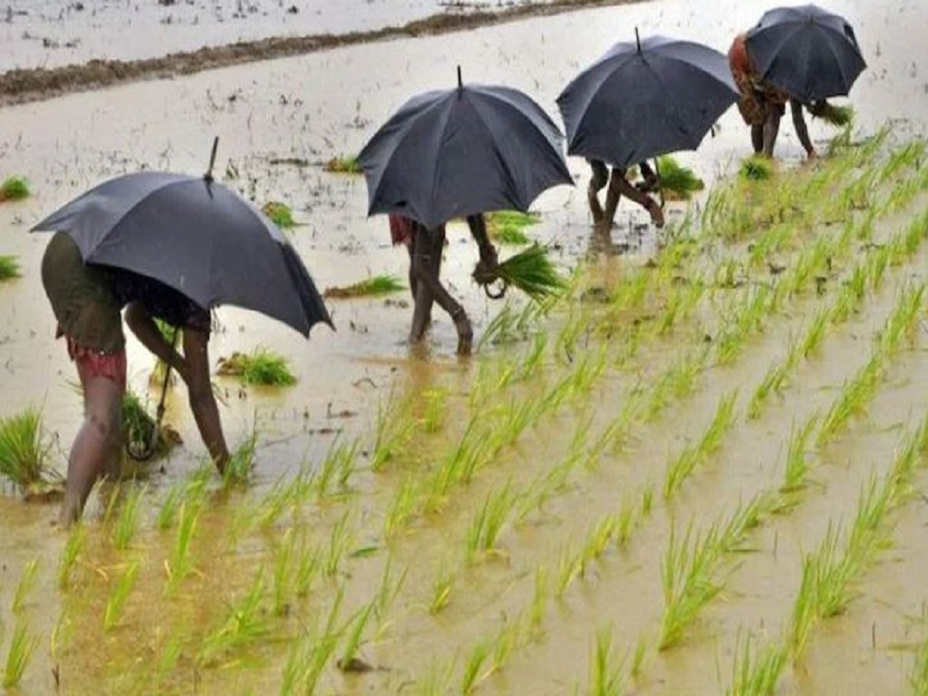 weather update rain in odisha Heavy Rainfall today