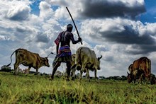 ଚାଷୀଙ୍କ ଆୟ ବୃଦ୍ଧିର ରୋଡମ୍ୟାପ ପ୍ରସ୍ତୁତ ଉପରେ MSP କମିଟିର ଆଲୋଚନା ଚାଷୀଙ୍କ ଆୟ ବୃଦ୍ଧିର ରୋଡମ୍ୟାପ ପ୍ରସ୍ତୁତ ଉପରେ MSP କମିଟିର ଆଲୋଚନା