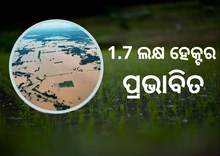ବନ୍ୟା ଉଜାଡିଲା ଫସଲ, ବର୍ଷା ସାଜିବ ବରଦାନ ! ବନ୍ୟା ଉଜାଡିଲା ଫସଲ, ବର୍ଷା ସାଜିବ ବରଦାନ !