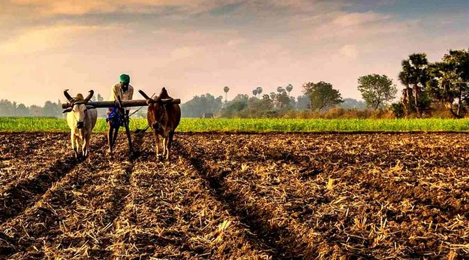 Balaram scheme for farmers fails to achieve target