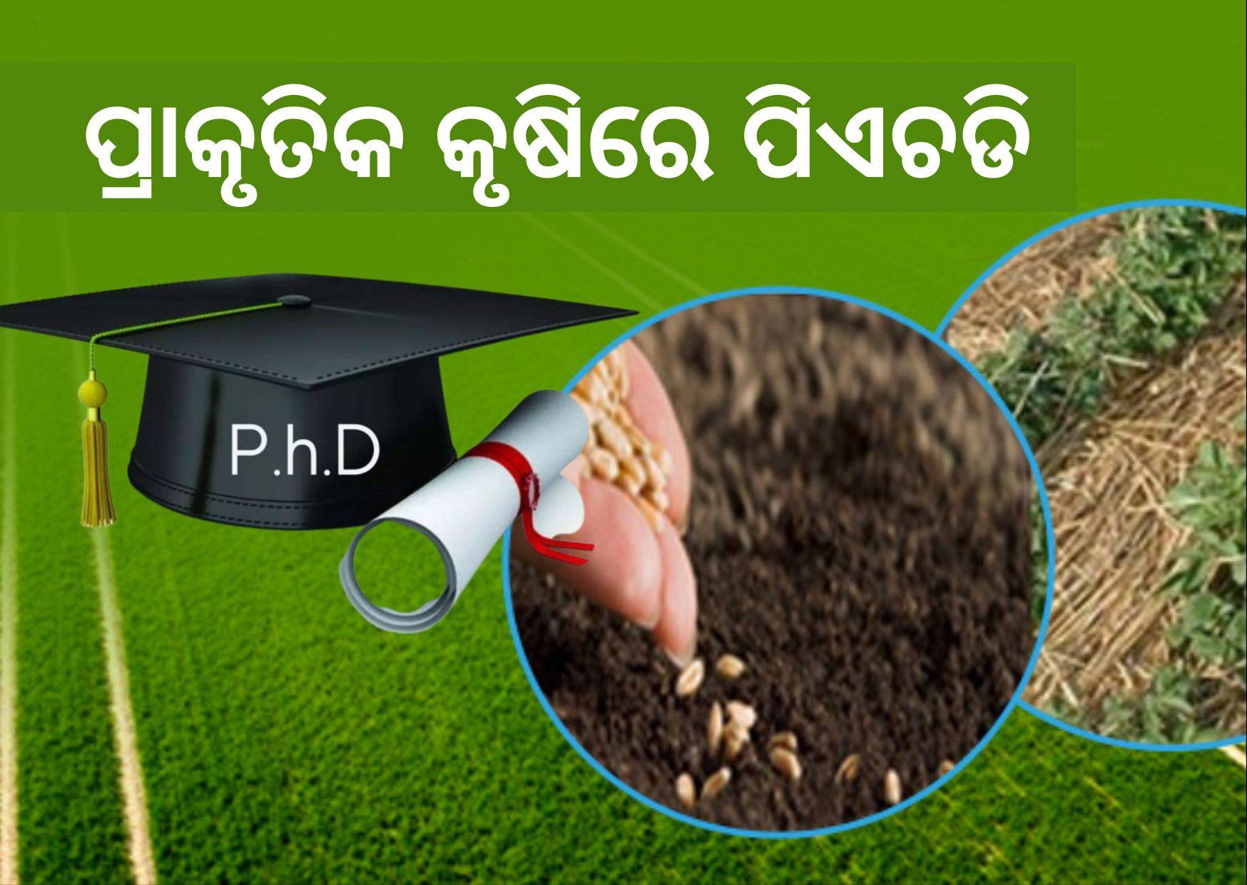 Gujurat governor launches Phd programme in Natural Agriculture