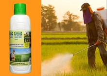 Nano urea fertiliser approval: ସ୍ପଷ୍ଟ କଲେ ସରକାର, ସମ୍ପୂର୍ଣ୍ଣ ଅନୁପାଳନ ହୋଇଛି ଅନୁମୋଦନ ପ୍ରକ୍ରିୟା   Nano urea fertiliser approval: ସ୍ପଷ୍ଟ କଲେ ସରକାର, ସମ୍ପୂର୍ଣ୍ଣ ଅନୁପାଳନ ହୋଇଛି ଅନୁମୋଦନ ପ୍ରକ୍ରିୟା