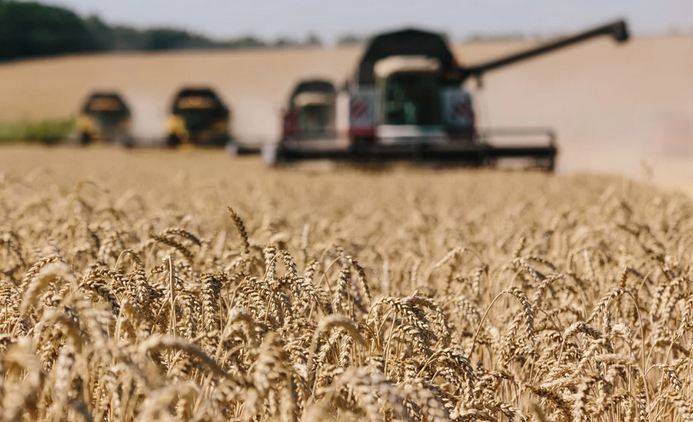 Ukrainian farms start winter wheat sowing
