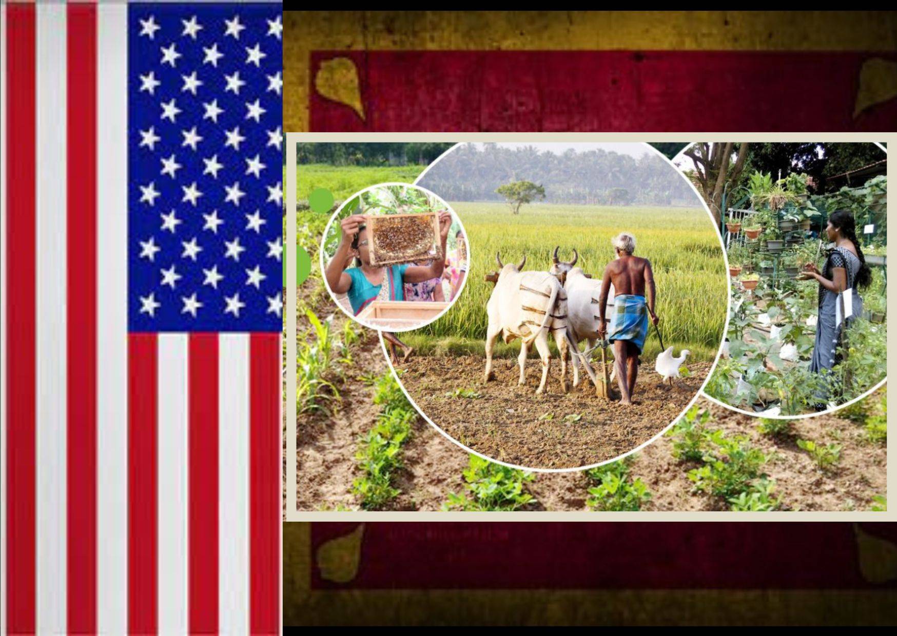 US announces $40 million agricultural aid to Sri Lanka