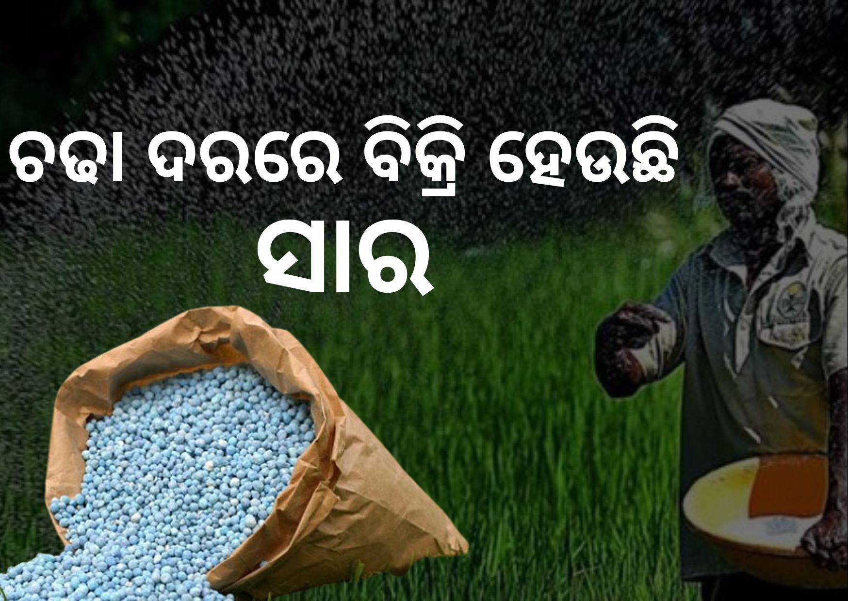 farmers are forced to purchase fertilizer at higher prices odisha