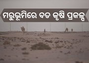 ବିବାଦୀୟ ପଶ୍ଚିମ ସାହାରା ମରୁଭୂମିରେ 213 ମିଲିୟମ ଡଲାର କୃଷି ପ୍ରକଳ୍ପ