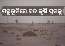 ବିବାଦୀୟ ପଶ୍ଚିମ ସାହାରା ମରୁଭୂମିରେ 213 ମିଲିୟମ ଡଲାର କୃଷି ପ୍ରକଳ୍ପ ବିବାଦୀୟ ପଶ୍ଚିମ ସାହାରା ମରୁଭୂମିରେ 213 ମିଲିୟମ ଡଲାର କୃଷି ପ୍ରକଳ୍ପ