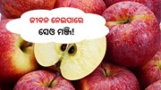 ଜୀବନ ନେଇପାରେ ସେଓ ମଞ୍ଜି ! ଜାଣନ୍ତୁ...