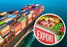 Agricultural Exports: କୃଷି ଉଦ୍ୟୋଗ ରପ୍ତାନିରେ 30 % ବୃଦ୍ଧି Agricultural Exports: କୃଷି ଉଦ୍ୟୋଗ ରପ୍ତାନିରେ 30 % ବୃଦ୍ଧି