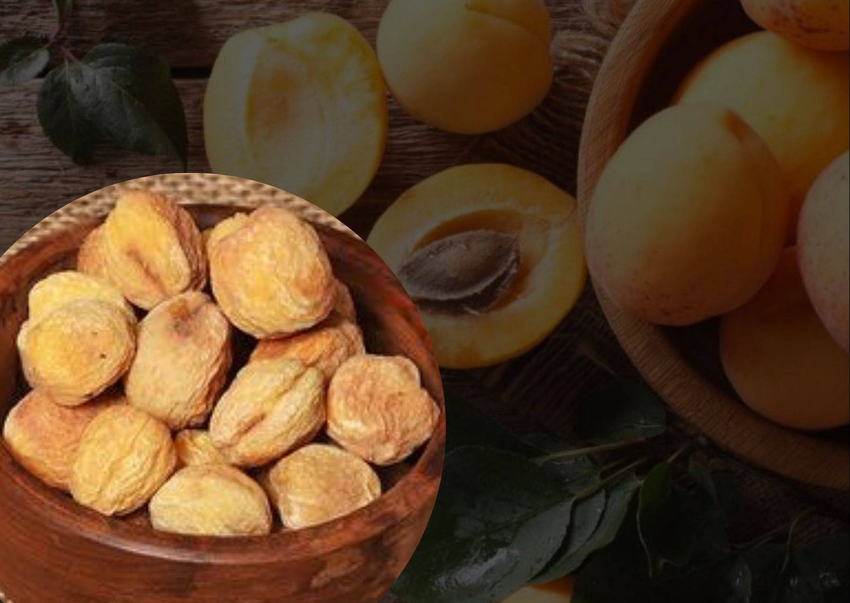 Ladakh apricots reach Middle East, Singapore, Vietnam & Mauritius