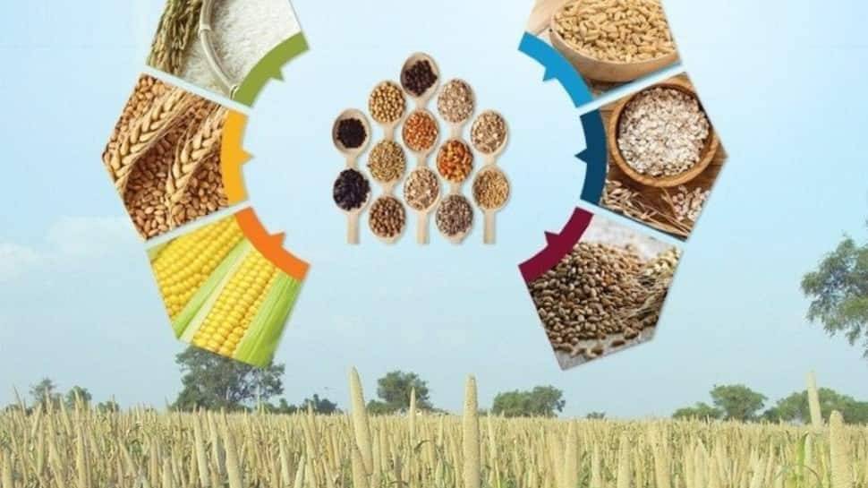 Agriculture Ministry organises various pre-launch events ahead of International Year of Millets 2023