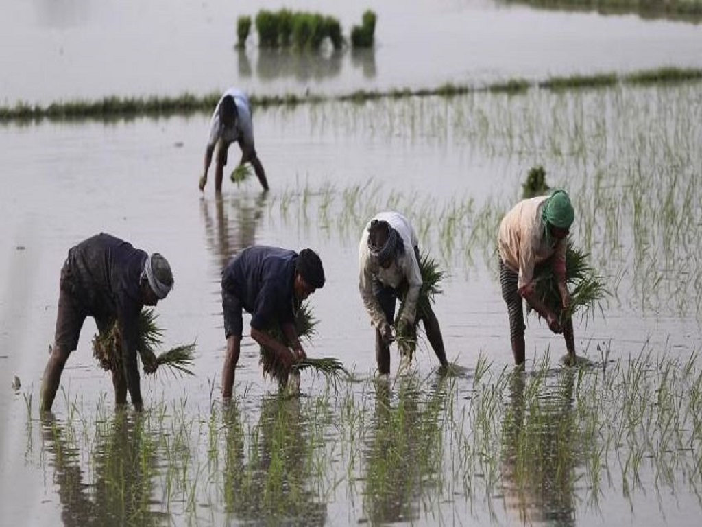 weatehr report update rain over takes winter in odisha