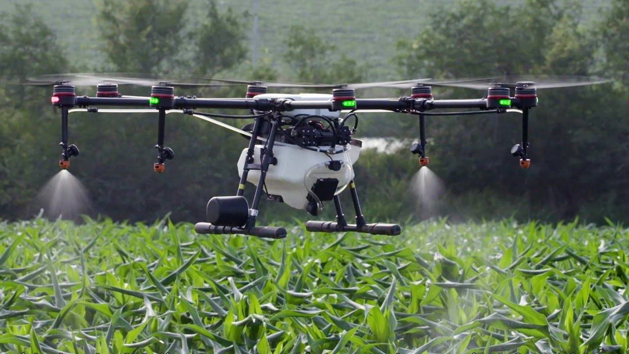 Drones Used By Koraput Farmers For Cultivation