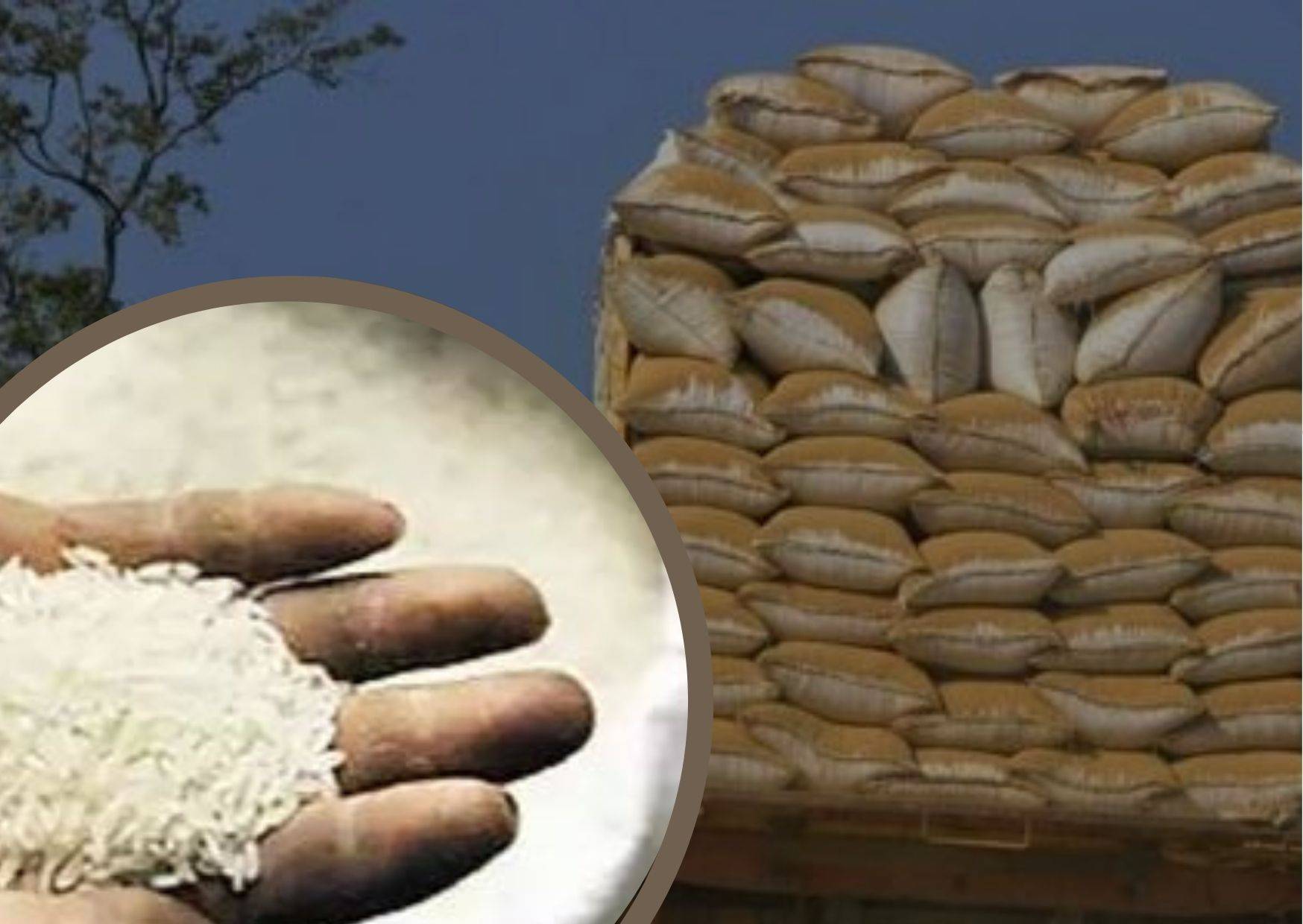 25 quintals of PDS rice seized in Bengaluru