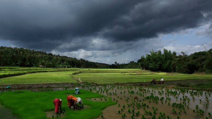 Monsoon 2022 'above normal' but agriculture takes hit
