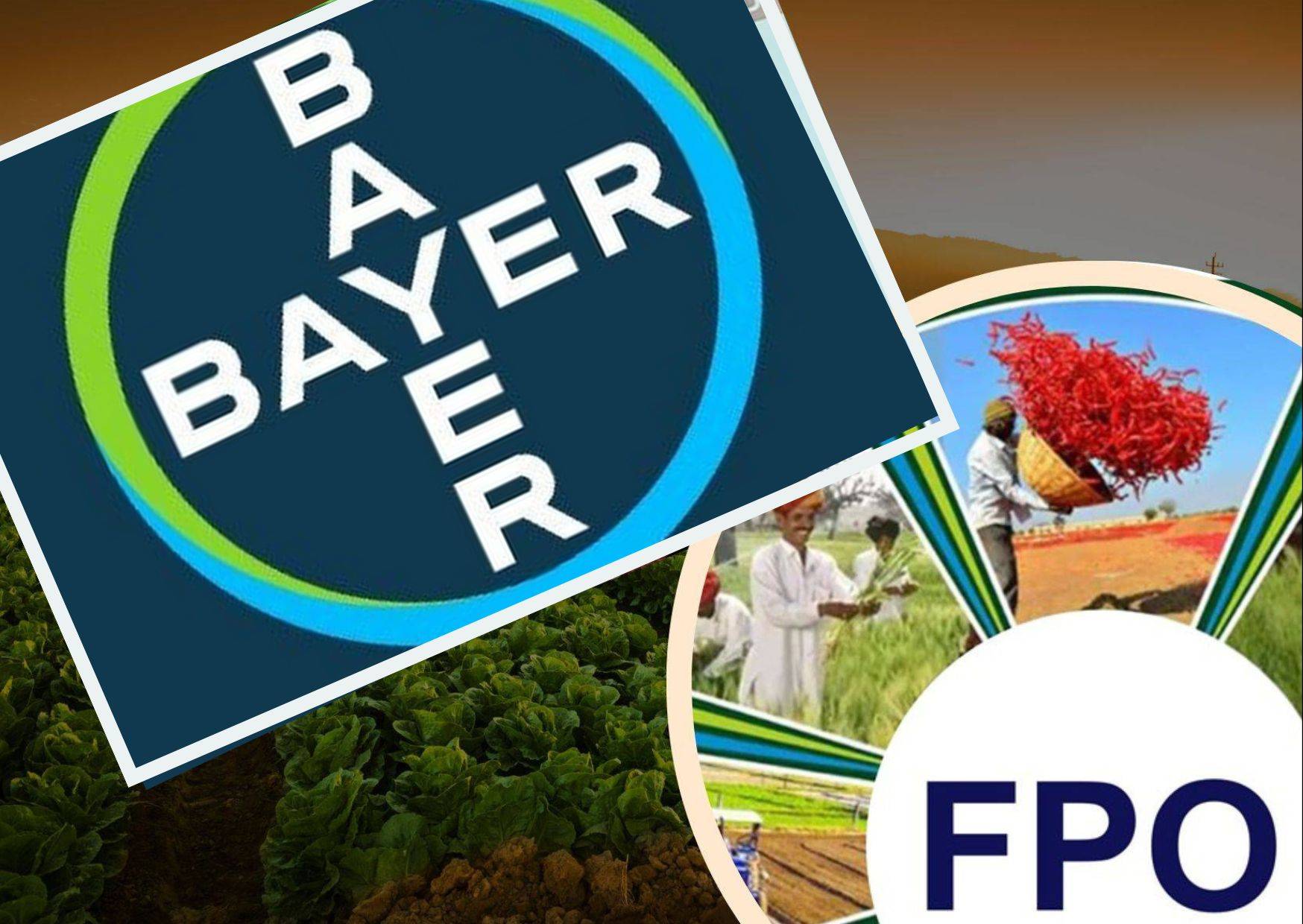 Bayer, Small Farmers' Agri-Business Consortium ink pact to form 50 Specialized Farmer Producer Organizations