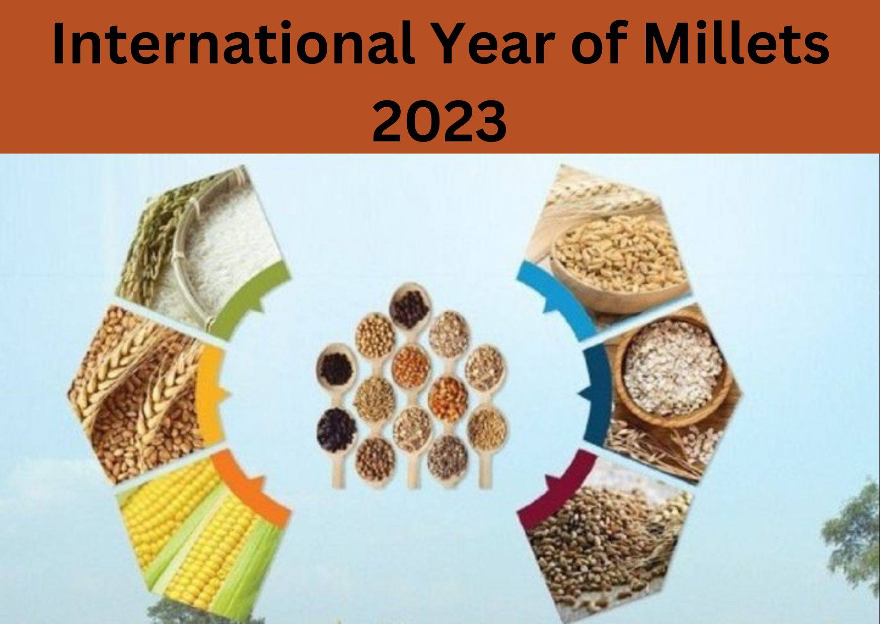 Agriculture ministry, NAFED sign MoU to boost international year of millets 2023