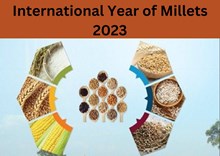 ଅନ୍ତରାଷ୍ଟ୍ରୀୟ ମିଲେଟ ବର୍ଷକୁ ବ୍ୟାପକ ସ୍ତରରେ ପହଞ୍ଚାଇାକୁ MoU ସ୍ବାକ୍ଷର କଲେ କୃଷିମନ୍ତ୍ରଣାଳୟ ଓ NAFED