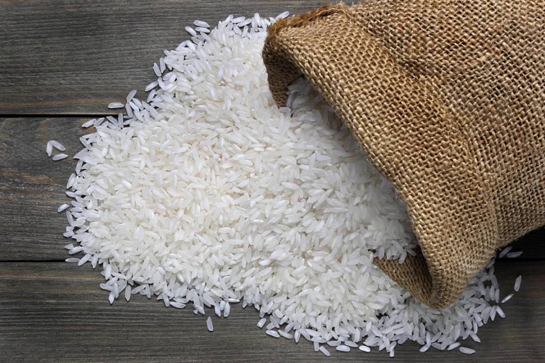 Commerce ministry says no export ban on rice, traders to pay 20% duty