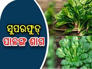 ଏହି ଶାଗ ଖାଇବା ଦ୍ୱାରା ଶରୀରରୁ ଦୂର ହେବ ରୋଗ 