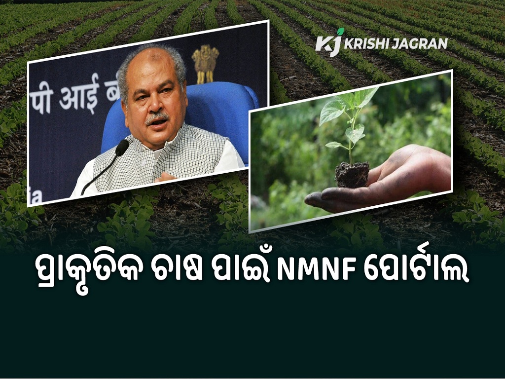 agriculture-minister-narendra-singh-tomar-says-through-natural-farming-agriculture-will-attain-new-heights