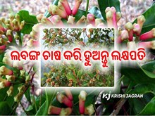କୃଷକମାନେ ଏହି ଗଛ ଚାଷ କରିବା ଜରୁରୀ କୃଷକମାନେ ଏହି ଗଛ ଚାଷ କରିବା ଜରୁରୀ