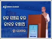 ନୀତିଗତ ନିଷ୍ପତ୍ତି ପ୍ରଭାବଶାଳୀ ପରିବର୍ତ୍ତନ କରେ- ଉପରାଷ୍ଟ୍ରପତି