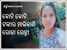 ଅର୍ଗାନିକ ଉପାୟରେ ଚାଷ କରି ବର୍ଷକୁ ରୋଜଗାର ୧କୋଟି  ଅର୍ଗାନିକ ଉପାୟରେ ଚାଷ କରି ବର୍ଷକୁ ରୋଜଗାର ୧କୋଟି