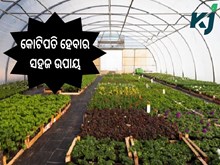ଗ୍ରୀନହାଉସରେ ଚାଷ ବିଷୟରେ ଜାଣିଛନ୍ତି କି? ଗ୍ରୀନହାଉସରେ ଚାଷ ବିଷୟରେ ଜାଣିଛନ୍ତି କି?