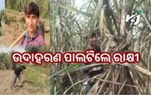 ସଫଳତାର ଏକ ନୂଆ ସ୍କ୍ରିପ୍ଟ ଲେଖିଛନ୍ତି ମୁଜାଫରନଗରର ଝିଅ ରାକ୍ଷୀ ସଫଳତାର ଏକ ନୂଆ ସ୍କ୍ରିପ୍ଟ ଲେଖିଛନ୍ତି ମୁଜାଫରନଗରର ଝିଅ ରାକ୍ଷୀ