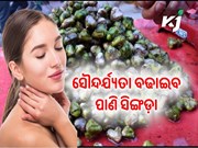 ଥଣ୍ଡା ଦିନରେ ଏହି ଫଳ ଅତ୍ୟନ୍ତ ଲାଭଦାୟକ ହୋଇଥାଏ