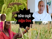 ଓଡିଶା ପାଳୁଛି mandia divas ଓଡିଶା ପାଳୁଛି mandia divas