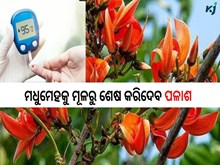 ମଧୁମେହକୁ ମୂଳରୁ ଶେଷ କରିଥାଏ ଏହି ଚମତ୍କାରୀ ଫୁଲ
